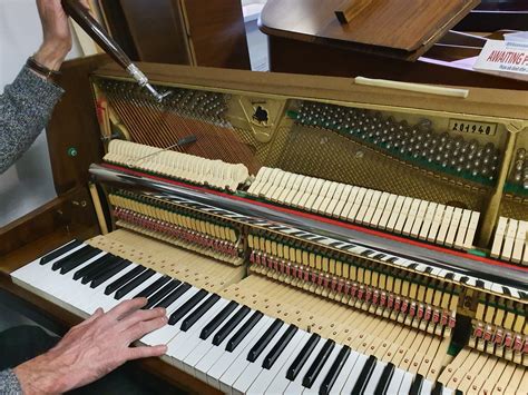 Mark Ryman Piano Tuning & Repair